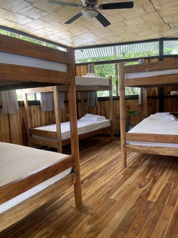 El Gato Rojas Surf Hostel Playa Santa Teresa (Puntarenas) Exterior foto